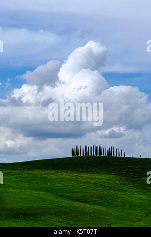 Paysage typique tuscanian avec green hills, une avenue de cyprès bleu et ciel nuageux, dans la région de Chianti Banque D'Images