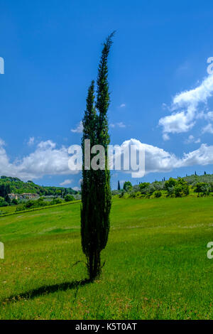 Tuscanian typique paysage avec une ferme située sur une colline verte, cyprès et ciel bleu dans le chianti Banque D'Images