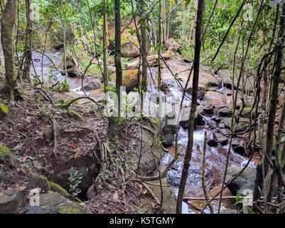 L'île de Phu Quoc cascade par jour Banque D'Images