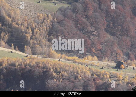 L'automne à transilvanya Banque D'Images