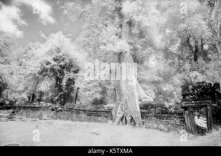 Cour arrière d'Angkor Thom, temple cambodge. Le 30 octobre 1996. Sur l'origine de l'image b/w film infrarouge. Banque D'Images