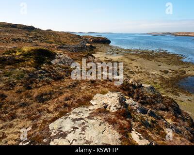 Rivage pierreux de la mer du Nord. première journée de printemps chaud, la mauvaise herbe sèche sur paroi rocheuse à cold blue ocean. Banque D'Images