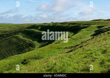 Hambledon Hill, un fer-age hill fort, la vallée de Blackmore, Dorset, England UK Banque D'Images