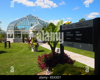 Serre tropicale et le gouvernement du Canada signe à la Ferme expérimentale centrale, Ottawa, Ontario, Canada. Banque D'Images