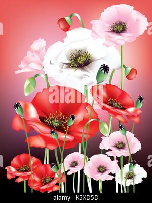 Coquelicots couleur abstrait avec des boutons de fleurs et les coupelles de semences Illustration de Vecteur