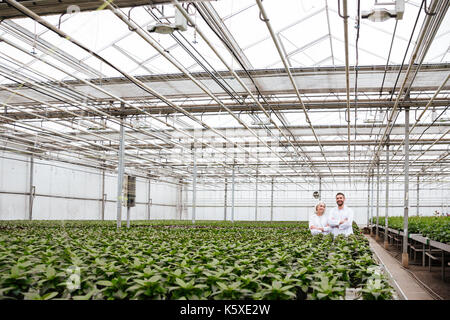 Jardiniers heureux matures à la caméra alors que l'article entre plants in greenhouse Banque D'Images
