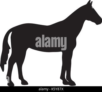 Running horse silhouette noire. vector illustration. Illustration de Vecteur