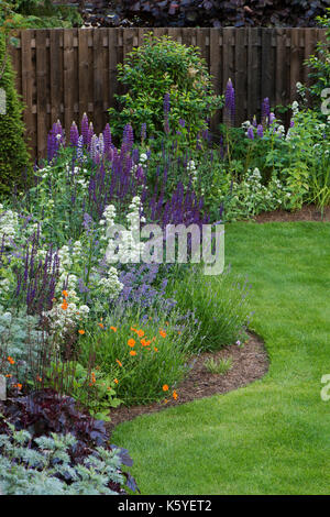 Belle, privé, traditionnelle, paysagée, country garden, West Yorkshire, Angleterre, Royaume-Uni - les plantes à fleurs d'été en gros plan sur la frontière herbacées Banque D'Images