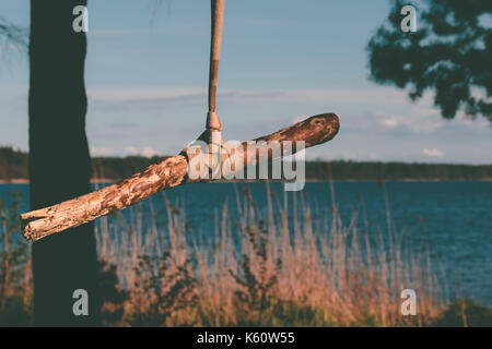 Arbre généalogique corde swing sur le lac. Banque D'Images