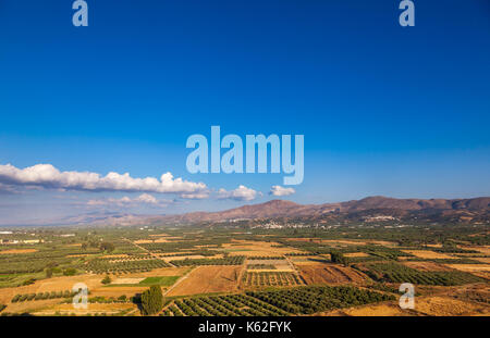 Vue panoramique de l'île grecque de Crète d'été avec des oliveraies et des montagnes en arrière-plan Banque D'Images