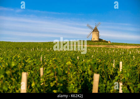 Moulin de moulin à vent dans le Beaujolais village land Banque D'Images