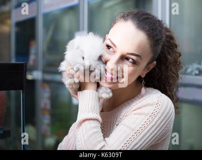 Femme regardant client espagnol ordinaire chinchilla duveteux dans Ark of Treasure Banque D'Images