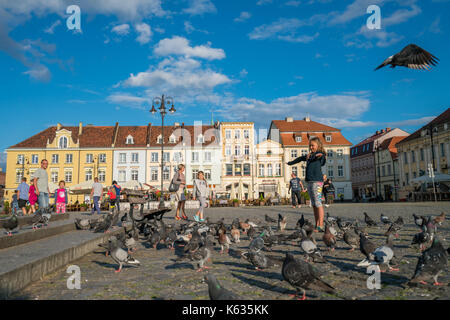 Bydgoszcz, Pologne - août 2017 : l'alimentation des enfants pidgeons sur la place de la vieille ville Banque D'Images