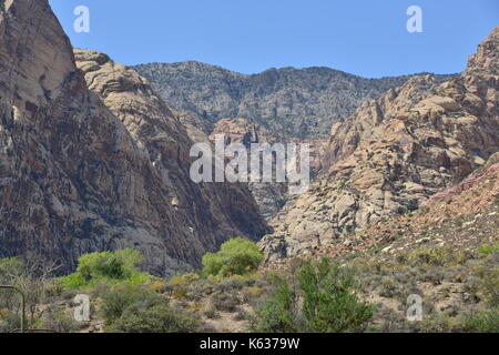 En montagne Nevada usa. Banque D'Images