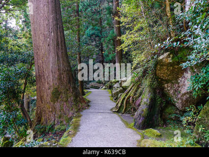Sentier de Kumano kodo, un sentier sacré de Nachi, Wakayama, Japon. nachi fait partie du parc national de Kumano-yoshino à wakayama. Banque D'Images