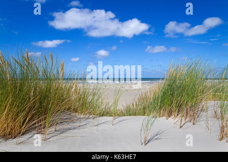 Vue sur la plage et la mer depuis le sommet d'une dune cultivés avec l'ammophile Banque D'Images