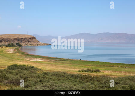 Rives du lac Sevan en Arménie.Le lac est situé dans la région de Gegharkunik Province, à une altitude de 1 900 m (6 234 ft) au-dessus du niveau de la mer. Banque D'Images