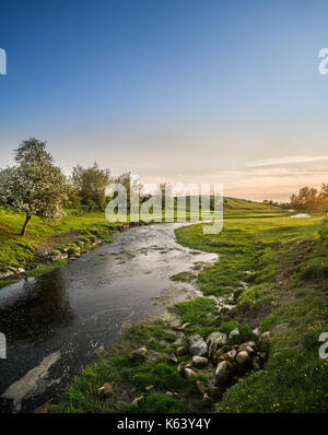 Petite rivière qui traverse les pâturages au coucher du soleil. Osterlen, Skane, Sweden. La Scandinavie. Banque D'Images