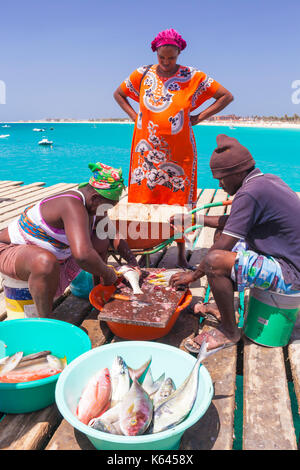 Cap vert SAL la population locale à l'échelle et l'éviscération du poisson frais prêt pour la vente sur la jetée en bois dans la région de Santa Maria l'île de Sal Cap vert Afrique Banque D'Images