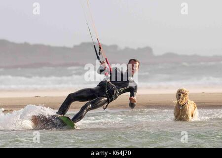 St Ouens, New Jersey. Sep 11, 2017. Météo britannique. Channel Islands pour exesise Soirée Kite Surfer & chien sur St Quens beach. Credit : Gordon Shoosmith/Alamy Live News Banque D'Images