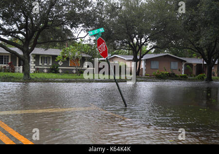 Plantation, FL, USA. Sep 11, 2017 inondations rue. introduit par l'ouragan irma en plantation. carline jean/photographe : crédit-sun sentinel/zuma/Alamy fil live news Banque D'Images