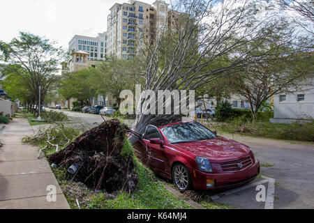 Miami, Floride, USA. Sep 11, 2017. Une voiture est écrasé sous un arbre déraciné après l'ouragan irma à Miami, FL, le lundi 11 septembre 2017. crédit : michael candelori/Alamy live news Banque D'Images