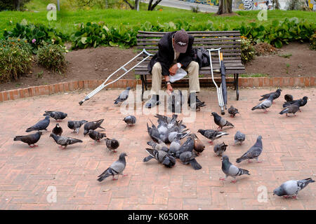 Colombie : Bogota. Vieux homme handicapé, seul avec ses béquilles, assis sur un banc, nourrir les pigeons dans le parc de San Diego (San Diego) Parque publico Banque D'Images