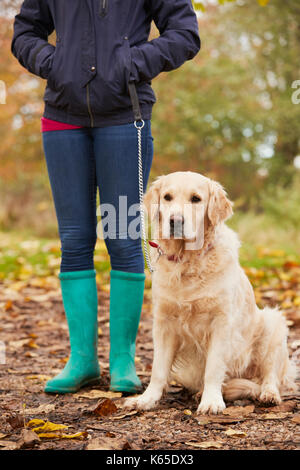 Close Up of Young Woman On Autumn à pied avec le Labrador Banque D'Images