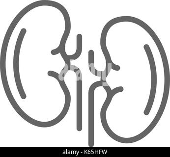 L'icône de la ligne de reins simple. symbole et vecteur illustration design signe.. avc modifiable isolé sur fond blanc Illustration de Vecteur