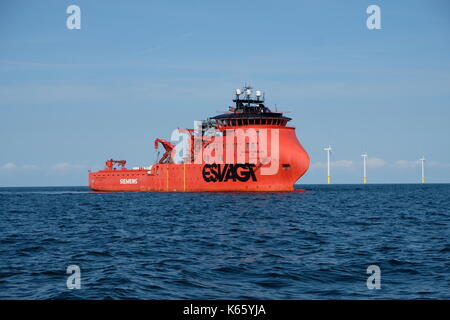 'Esvagt" faraday sov-navire dans le budendiek-offshore wind park, Allemagne Banque D'Images