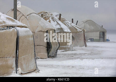 Yourtes dans le camp traditionnel de yourtes kirghizes pendant la tempête de neige le long du lac Song Kul / Song Kol dans les montagnes Tian Shan, province de Naryn, Kirghizistan Banque D'Images