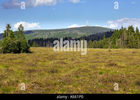 Tourbière élevée à Großes Torfhaussmoor / Radaubornmoor et la montagne Brocken, parc national de Harz, Basse-Saxe, Allemagne Banque D'Images