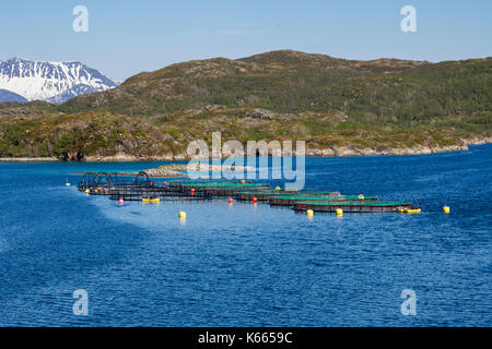 L'agriculture de l'élevage du saumon dans un fjord norvégien sur la côte nord. Troms, Norvège, Scandinavie, Europe Banque D'Images