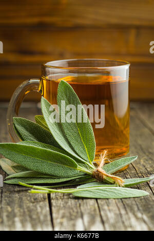 Le thé de sauge et de feuilles de sauge. infusion faite à partir de feuilles de sauge. médicinales Salvia officinalis. Banque D'Images