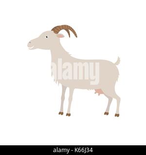 Caricature de chèvre blanc. g est de chèvre. Illustration de Vecteur