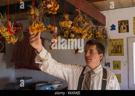 Historique un reenactor sèche bottes de fleurs jaune au plafond de sa cuisine à Ukrainian Cultural Heritage Village, Alberta, Canada. Banque D'Images