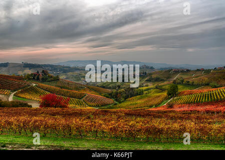 Cette photo a été faite dans les Langhe Piémont, une célèbre région viticole. C'est dans l'automne, lorsque les vignes prendre sur les couleurs magnifiques Banque D'Images