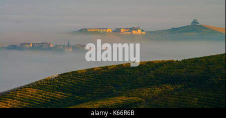 Italia piemonte - Langhe piemontesi,zona famosa dans tutto il mondo per la produzione di vino.quì siamo nel periodo autunnale dove i vitigni assumono dei colori meravigliosi|cette photo a été faite dans les Langhe piémont, une célèbre région viticole. C'est dans l'automne, lorsque les vignes prendre sur les couleurs magnifiques Banque D'Images