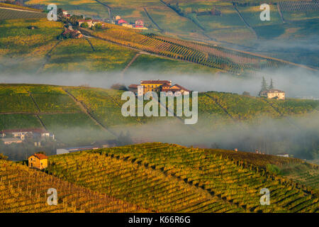 Italia piemonte - Langhe piemontesi,zona famosa dans tutto il mondo per la produzione di vino.quì siamo nel periodo autunnale dove i vitigni assumono dei colori meravigliosi|cette photo a été faite dans les Langhe piémont, une célèbre région viticole. C'est dans l'automne, lorsque les vignes prendre sur les couleurs magnifiques Banque D'Images