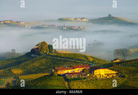 Italia piemonte - Langhe piemontesi,zona famosa dans tutto il mondo per la produzione di vino.quì siamo nel periodo autunnale dove i vitigni assumono dei colori meravigliosi|cette photo a été faite dans les Langhe piémont, une célèbre région viticole. C'est dans l'automne, lorsque les vignes prendre sur les couleurs magnifiques Banque D'Images