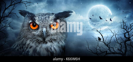 Eagle owl en colère à la lune dans la forêt Spooky Halloween - théâtre Banque D'Images