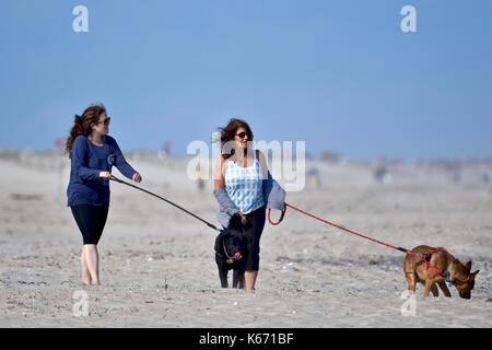 Deux femmes marchant vers le bas les chiens beach Banque D'Images