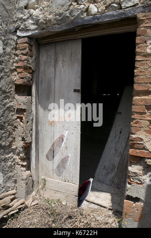 Porte de ruine d'une ancienne cave avec une bouteille de vin rouge Banque D'Images