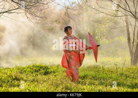 Femme en vêtements traditionnels japonais dans un verger de cerisiers en fleurs, Japon Banque D'Images