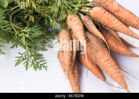 Un tas de carottes biologiques frais avec des feuilles isolées sur fond blanc Banque D'Images