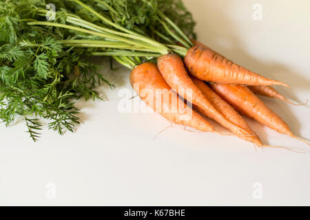 Un tas de carottes biologiques frais avec des feuilles isolées sur fond blanc Banque D'Images