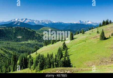 Les prairies alpines et les montagnes, Manning Park, British Columbia, Canada Banque D'Images