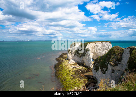 Old Harry, falaises de craie à la côte jurassique du Dorset, Angleterre Banque D'Images
