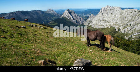 Troupeau de chevaux, Urkiola Parc National, Gascogne, Pays Basque, Espagne Banque D'Images