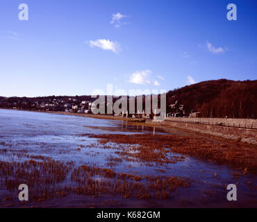 Sur Grange-Over-Sands les rives de l'estuaire de la rivière Kent Morecambe Bay Cumbria England Banque D'Images